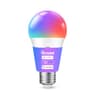 Govee Smart Light Bulb A19 Multicolor (H6008, single)